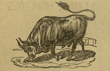 Ficheiro:Imagem DI 1880-06-27.png