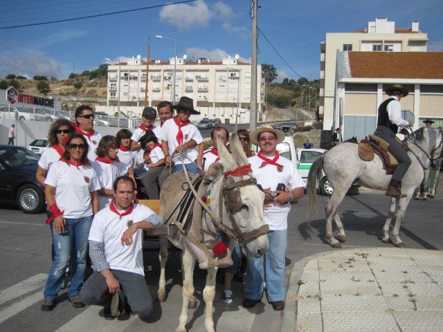 Ficheiro:Lusitana F3.jpg