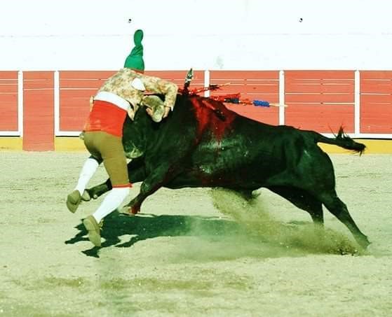 Ficheiro:GFA Arronches F3.jpg