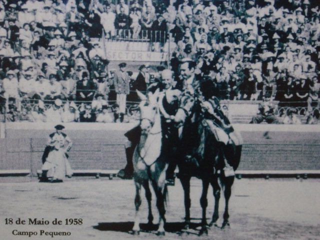 Ficheiro:David Ribeiro Telles F42.jpg