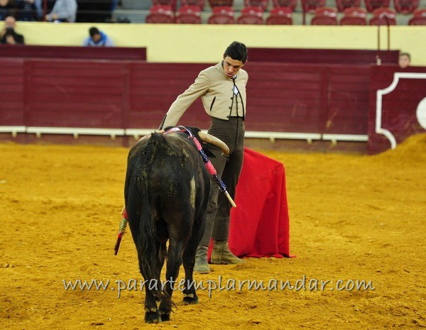 Ficheiro:VI EIET F14.jpg