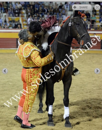 Ficheiro:Parreirita Cigano F24.jpg