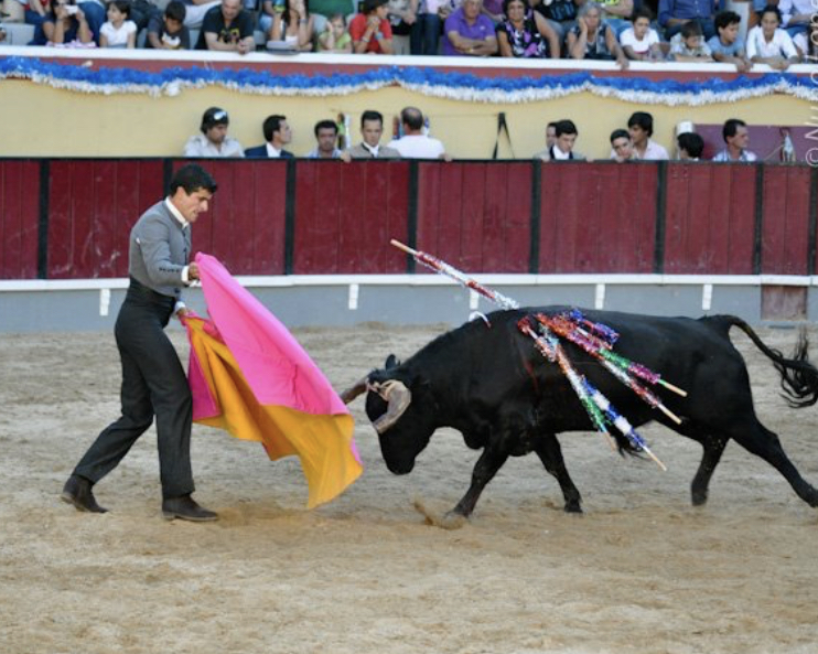 Ficheiro:David Ferreira F28.jpeg