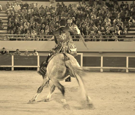 Ficheiro:Paulo Jorge Santos F20.jpg