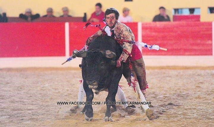 Ficheiro:GFA Arronches F4.jpg
