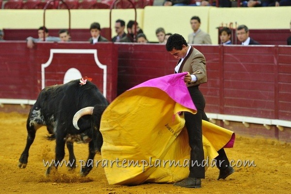Ficheiro:VI EIET F3.jpg