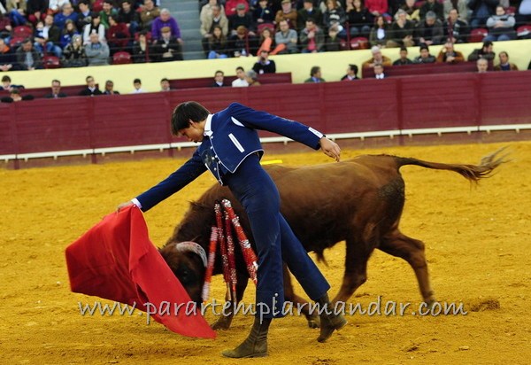 Ficheiro:VI EIET F11.jpg