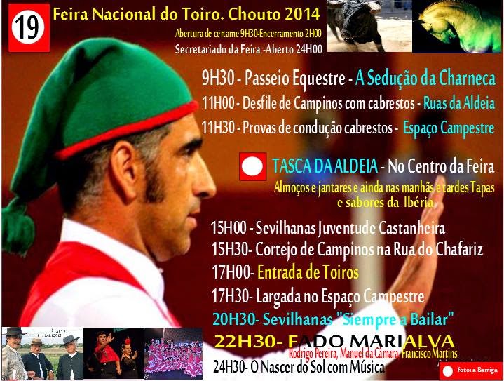Ficheiro:FeiradoToiro Chouto 2014(3).jpg