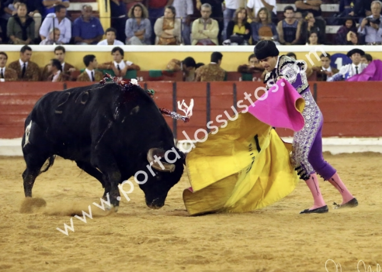 Ficheiro:David Ferreira F27.jpeg