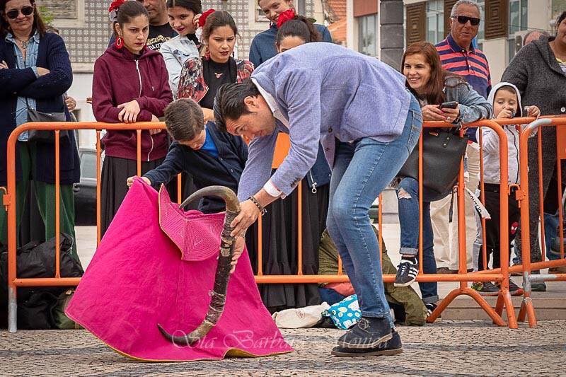Ficheiro:Escola de Toureio Azambuja F19.jpg