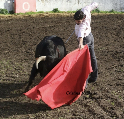 Ficheiro:David Ferreira F32.jpeg