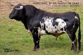 Imagem4 Utrero.jpg