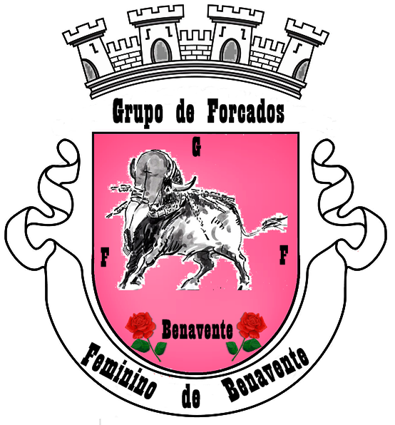 Ficheiro:Grupo de Forcados Feminino de Benavente.jpg