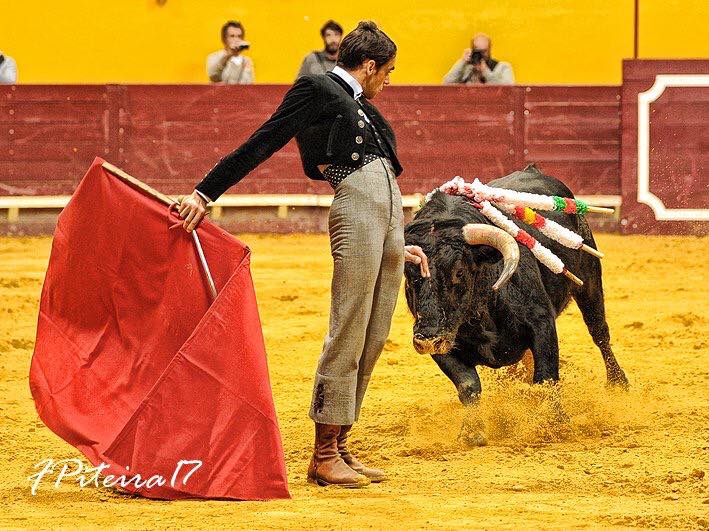 Ficheiro:Academia Campo Pequeno F4.jpg