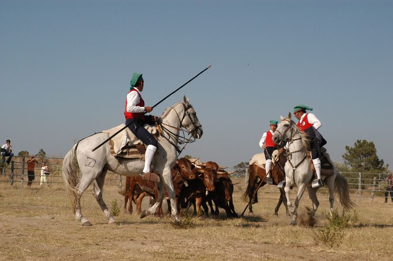 Ficheiro:FBVS 56.JPG