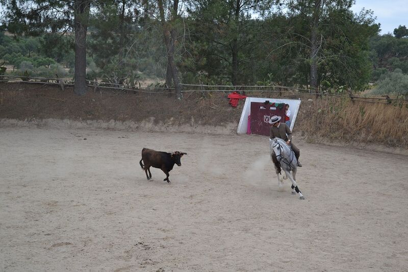 Ficheiro:Ganadaria Manuel Veiga F32.JPG