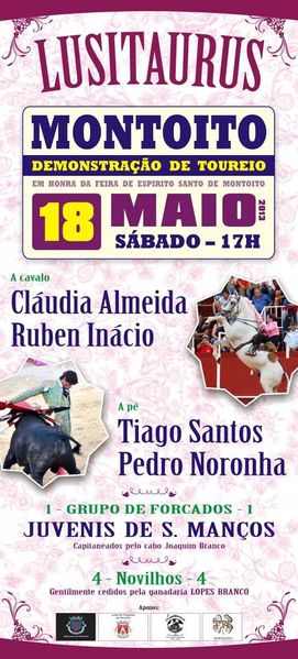 Ficheiro:Cartaz 0501.jpg
