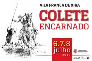 ColeteEncarnado VFX 2018.jpg