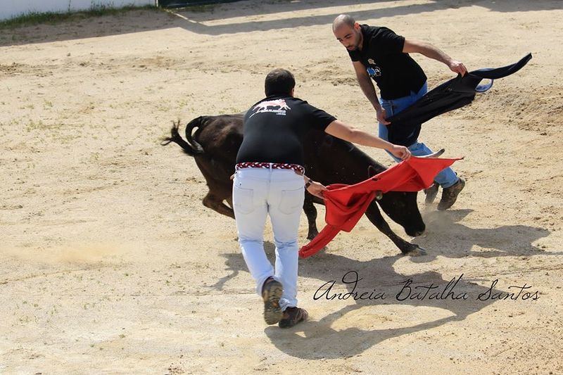Ficheiro:UTA F7.jpg