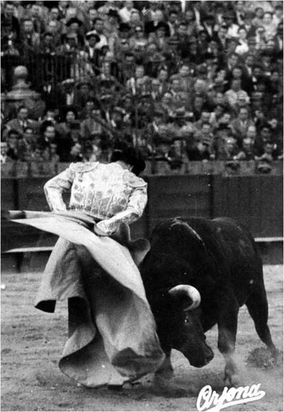 Ficheiro:PACO F3.jpg