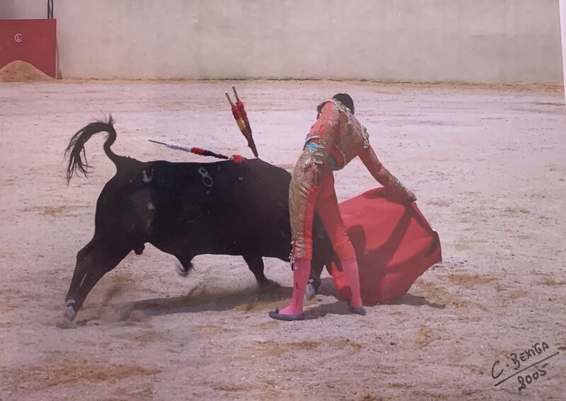 Ficheiro:David Ferreira F19.jpeg