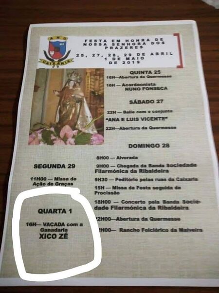 Ficheiro:FestaNSPrazeres Caixaria TVedras 2019.jpg