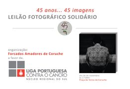 FAC Leilao 3 2016.jpg