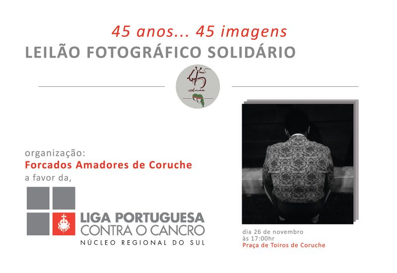 Ficheiro:FAC Leilao 3 2016.jpg