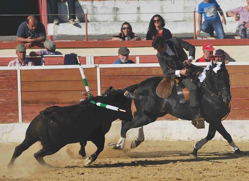 Ficheiro:Tiago Martins F5.jpg