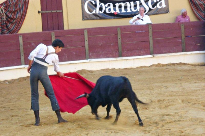 Ficheiro:Ass Eh! Toiro F82.jpg