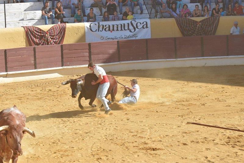 Ficheiro:Ass Eh! Toiro F60.jpg