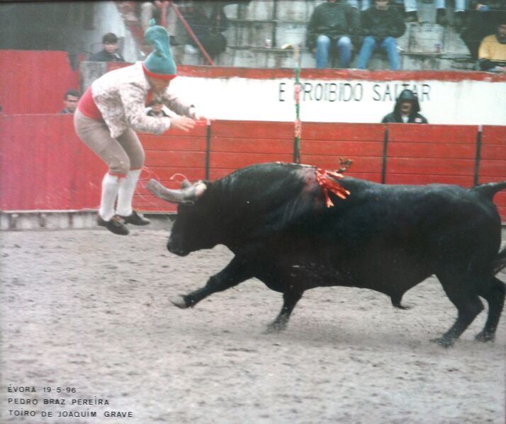 Ficheiro:GFAS F75.jpg