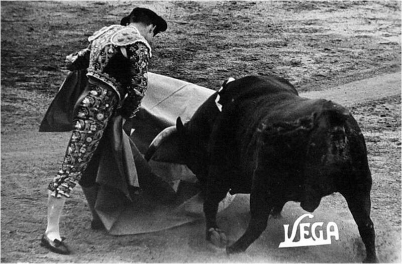 Ficheiro:PACO F7.jpg