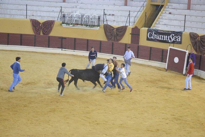 Ficheiro:Ass Eh! Toiro F69.jpg