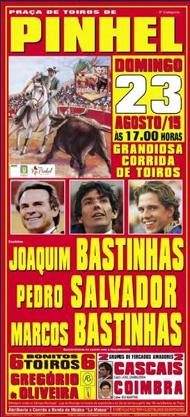 Ficheiro:Cartaz 0415.jpg