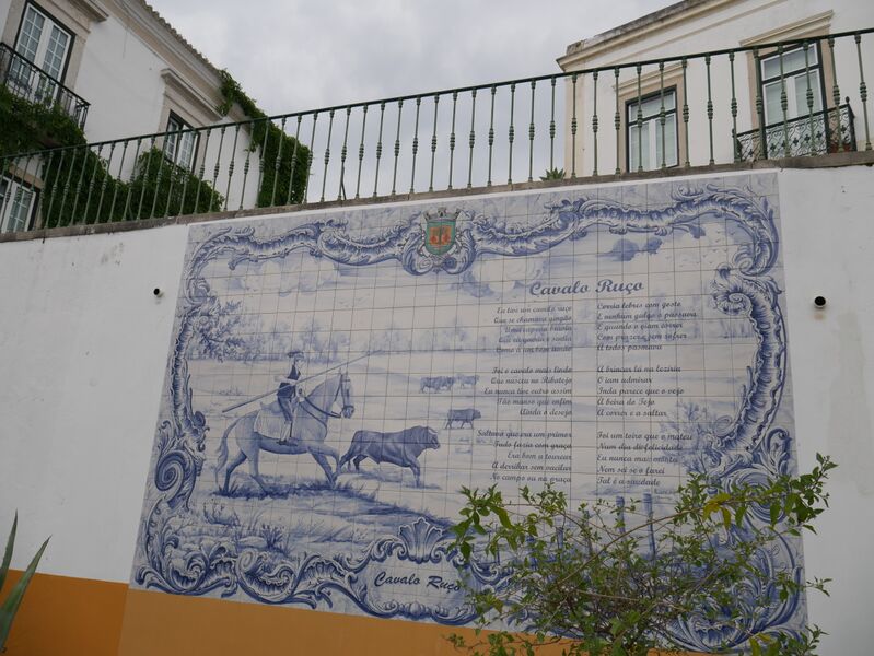 Ficheiro:F01030 Azambuja.JPG