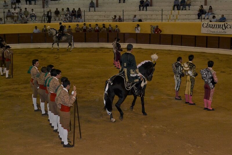 Ficheiro:Chamusca F6.JPG