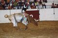 Rodeo Brasileiro 009.jpg