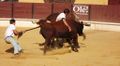 Ass Eh! Toiro F79.jpg