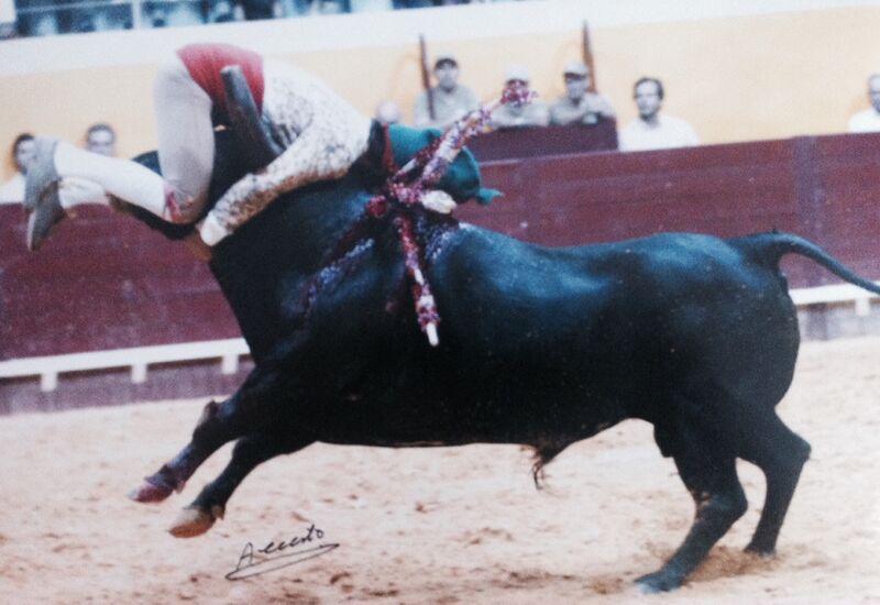 Ficheiro:GFAS F95.JPG
