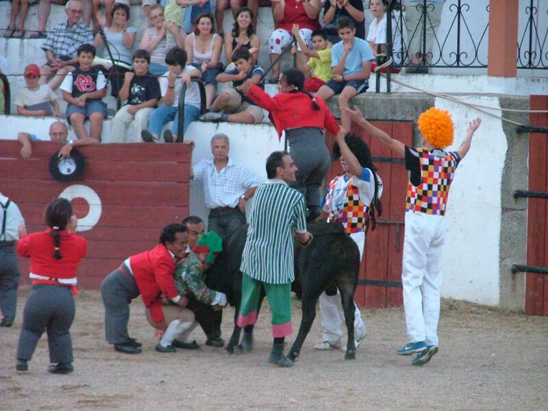 Ficheiro:CA 1238.JPG