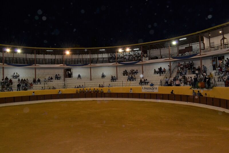 Ficheiro:Chamusca F3.JPG