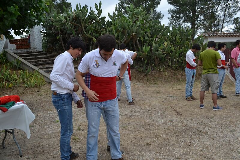 Ficheiro:Ganadaria Manuel Veiga F6.JPG