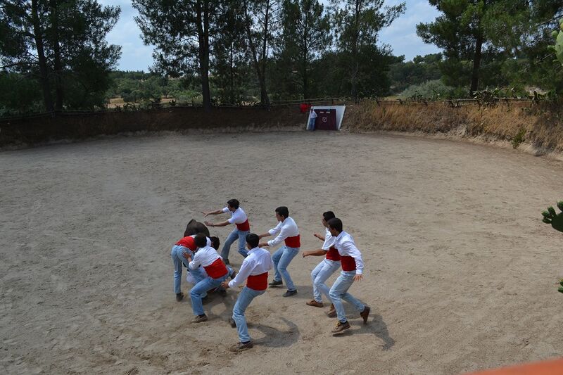 Ficheiro:Ganadaria Manuel Veiga F23.JPG