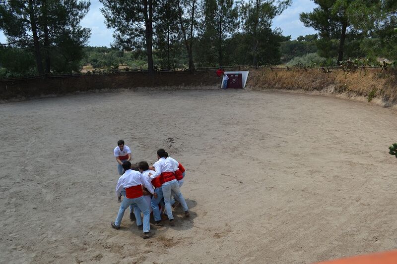 Ficheiro:Ganadaria Manuel Veiga F24.JPG