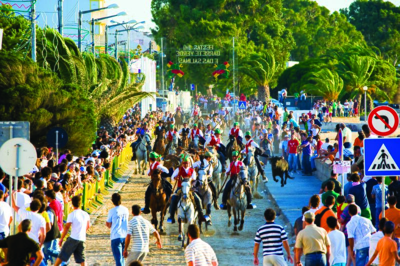 Ficheiro:FBVS 27.jpg