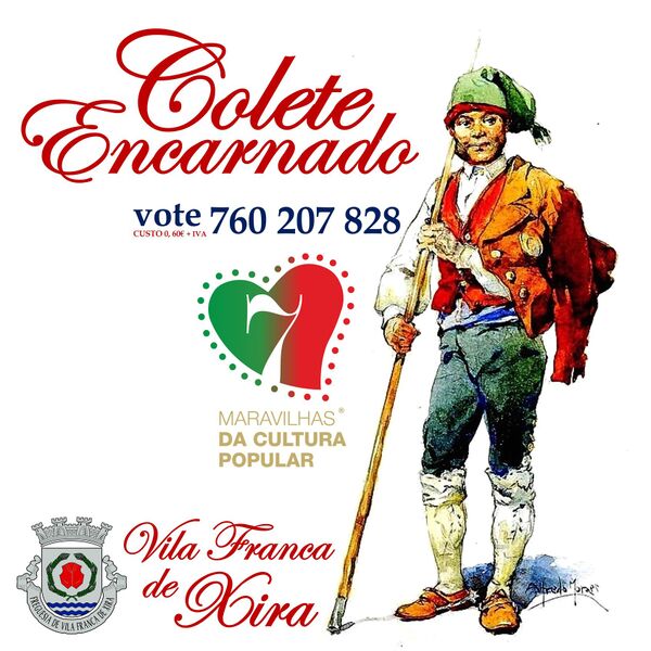 Ficheiro:ColeteEncarnado PinturaAlfredoMoraes 2020.jpg