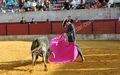 TT Sobralense F10.jpg