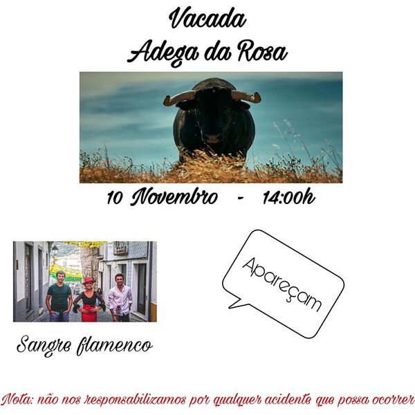 Ficheiro:Vacada AdegadaRosa SMagos 2019(2).jpg