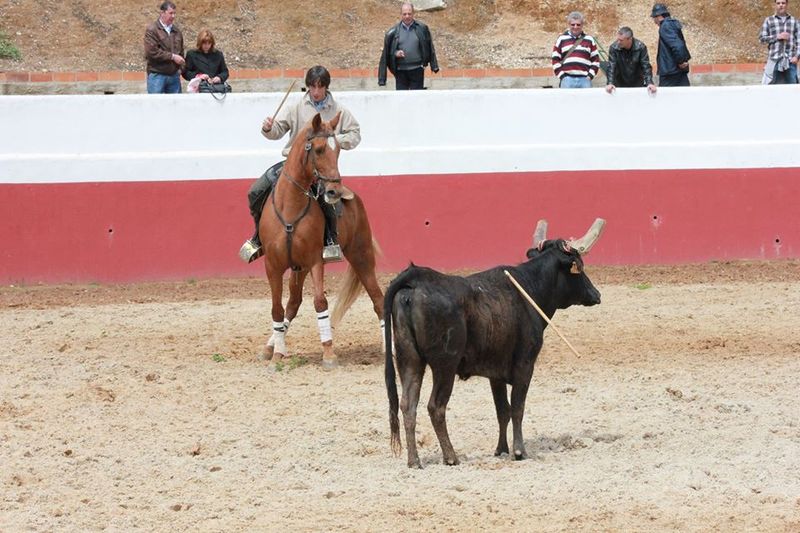 Ficheiro:Tiago Martins F19.jpg
